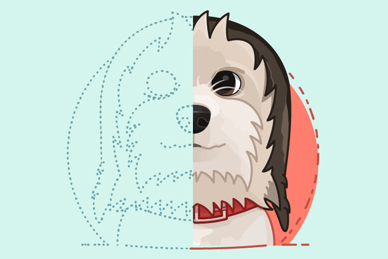 Tips for using colour effectively in web illustration