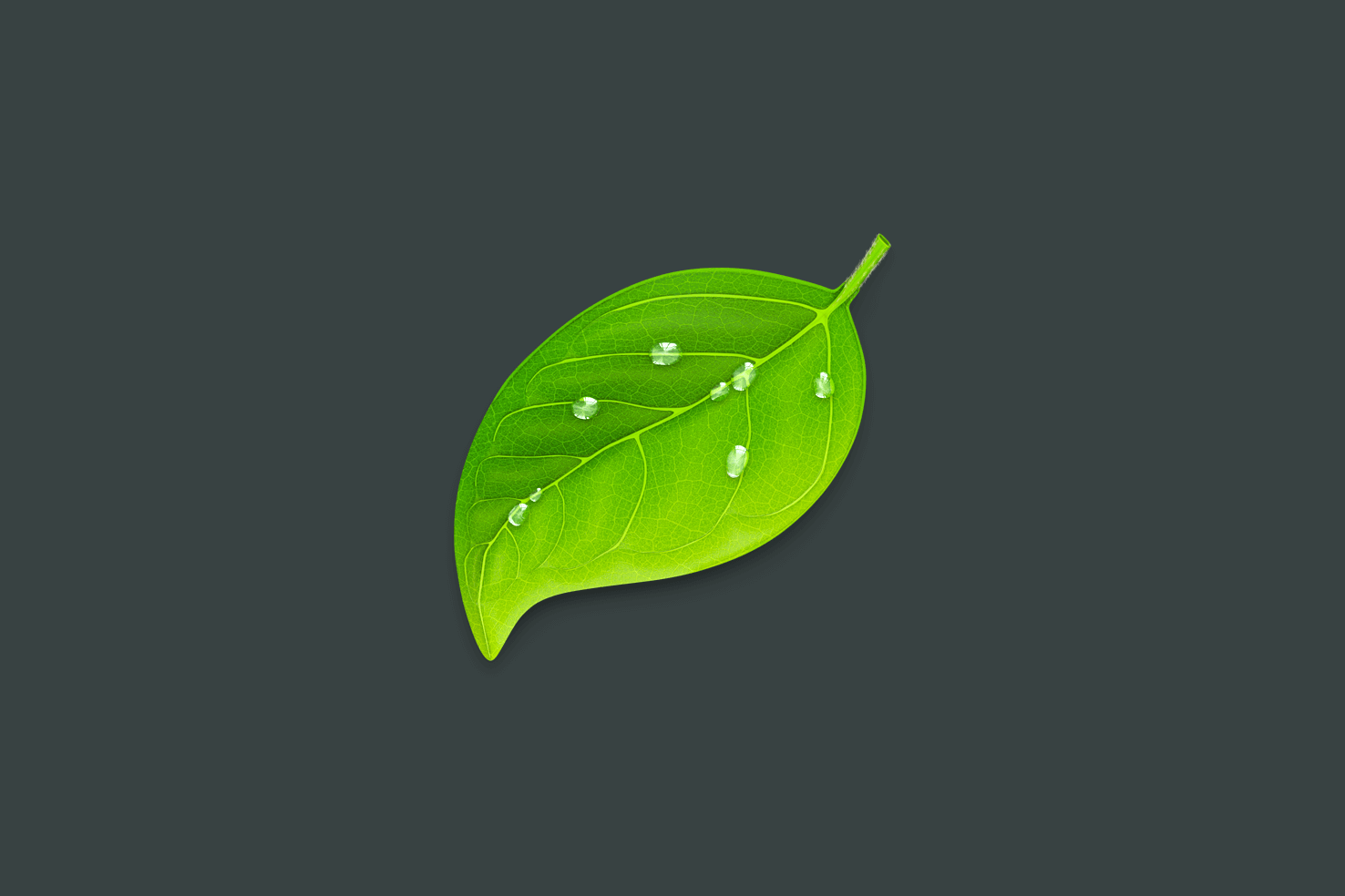 Coda text editor interface