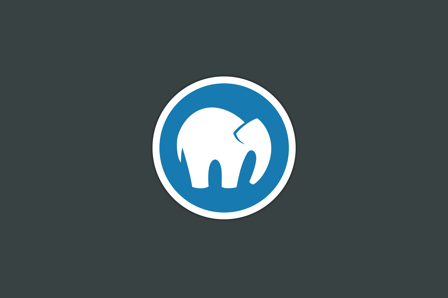 MAMP local development environment interface